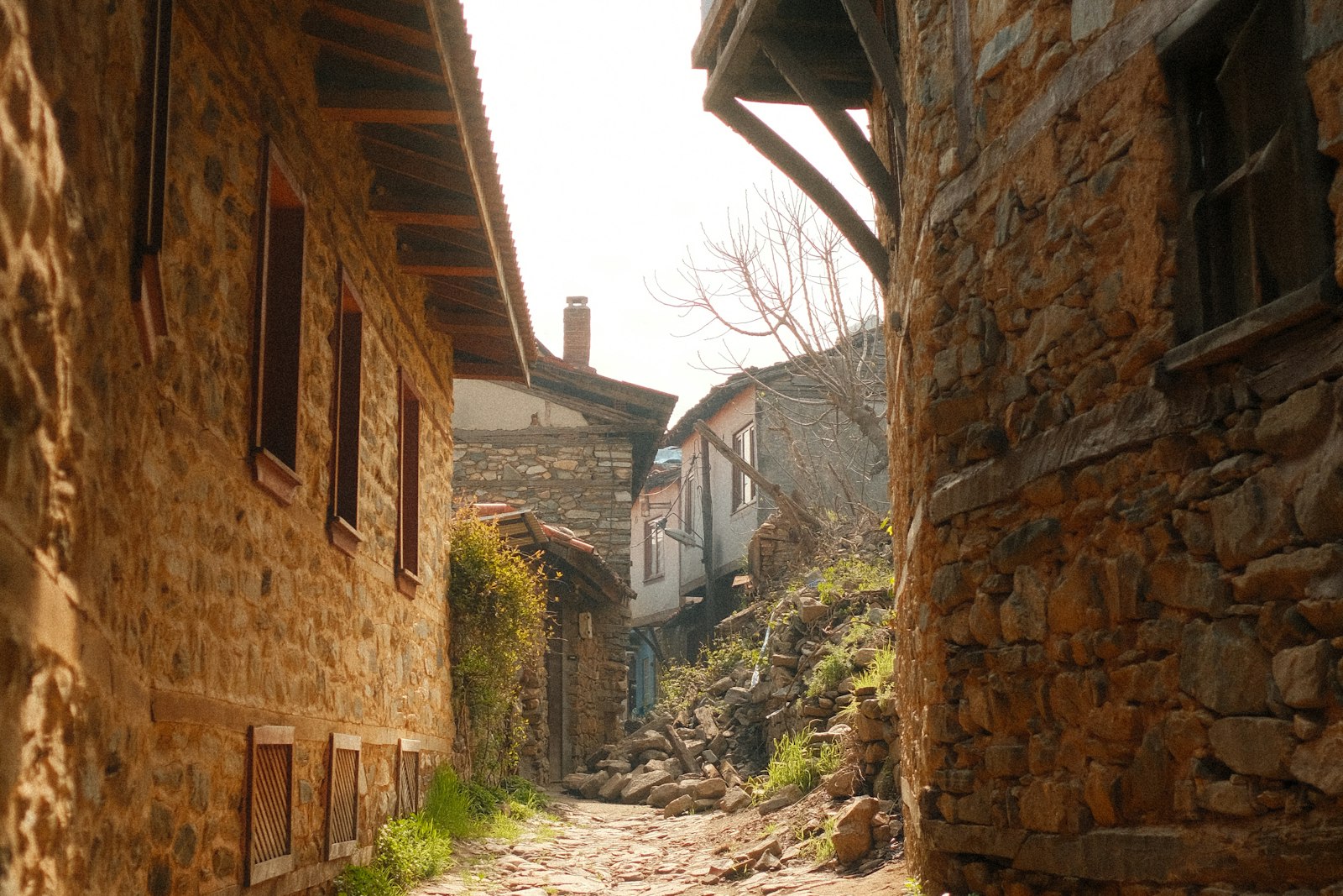Bursa ve Cumalıkızık Turu - fotoğraf 2