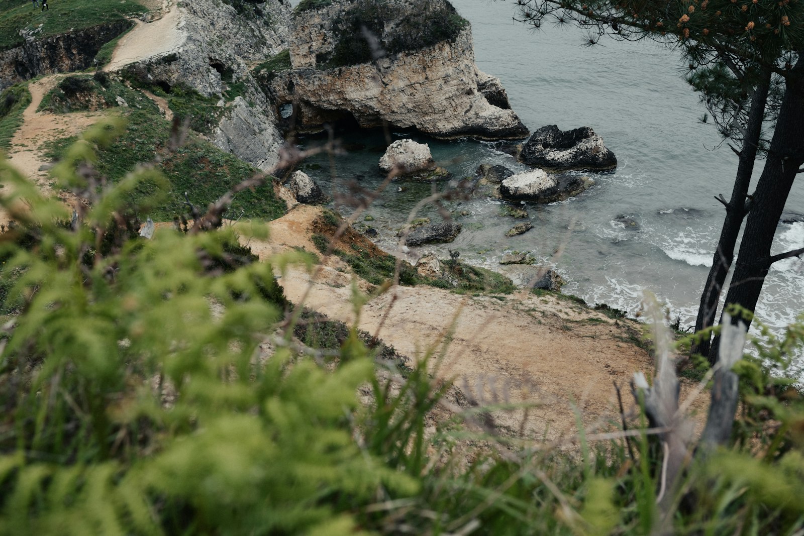 Şile ve Ağva Turu - fotoğraf 3